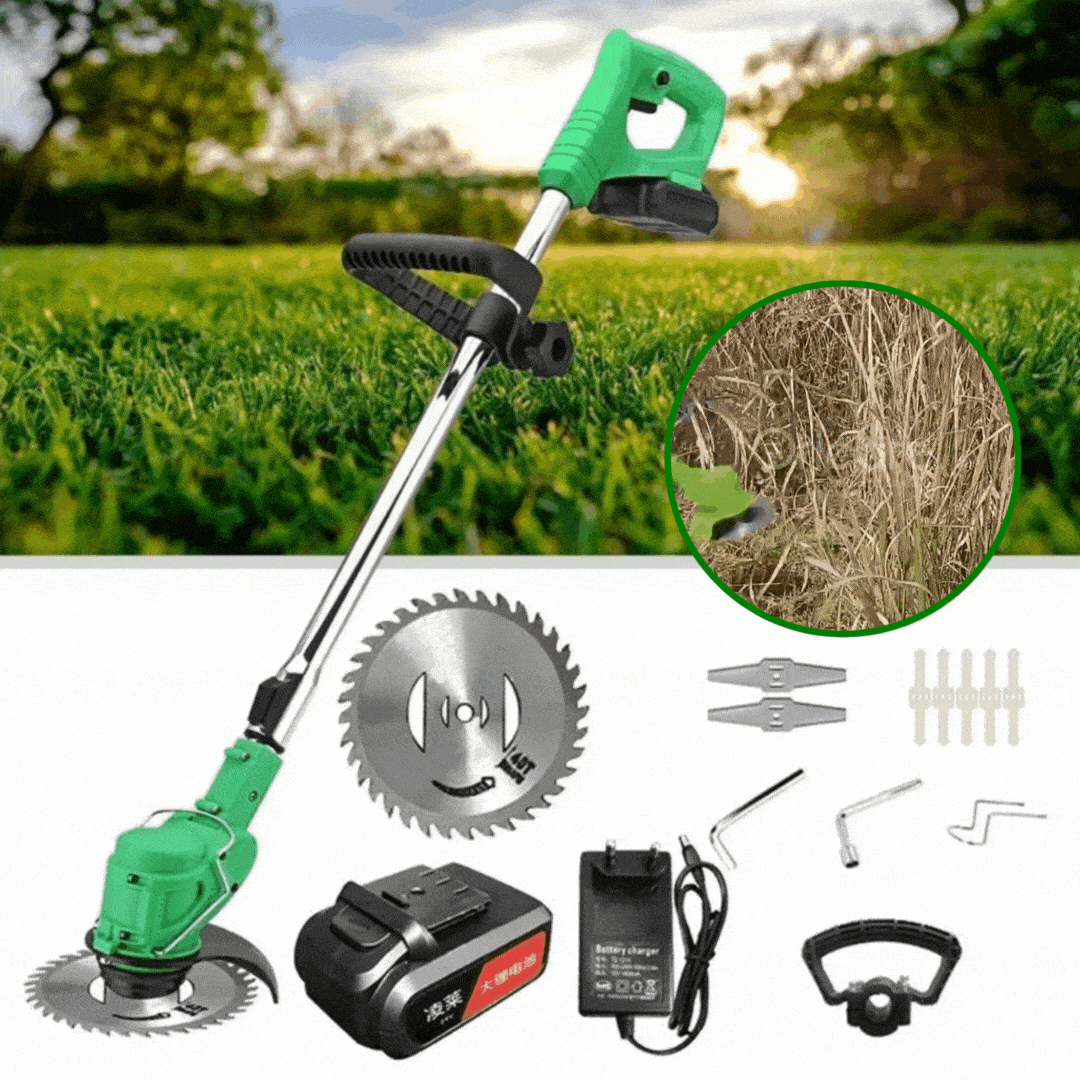 Motocoasa Electrica Portabila tip Trimmer, 2 Acumulatori
